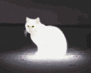 명화그리기(물감2배)문라이트 고양이 40x50cm