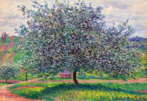 사과나무 1879   1014피스
