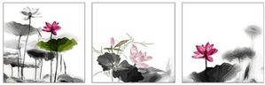 명화그리기-연꽃 (50×50cm)×3개- 3단세트 